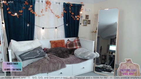 vivid_whit  20-10-2022